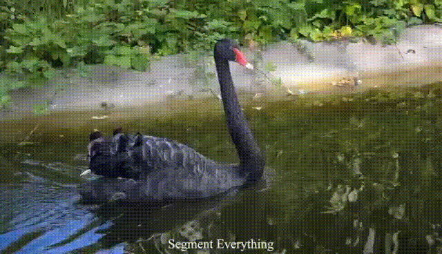 92134f817235e17b61736f4ecbe2ff16.gif