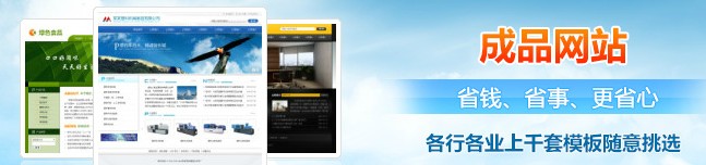 成品网站