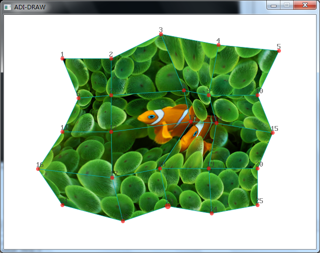 Image Warp