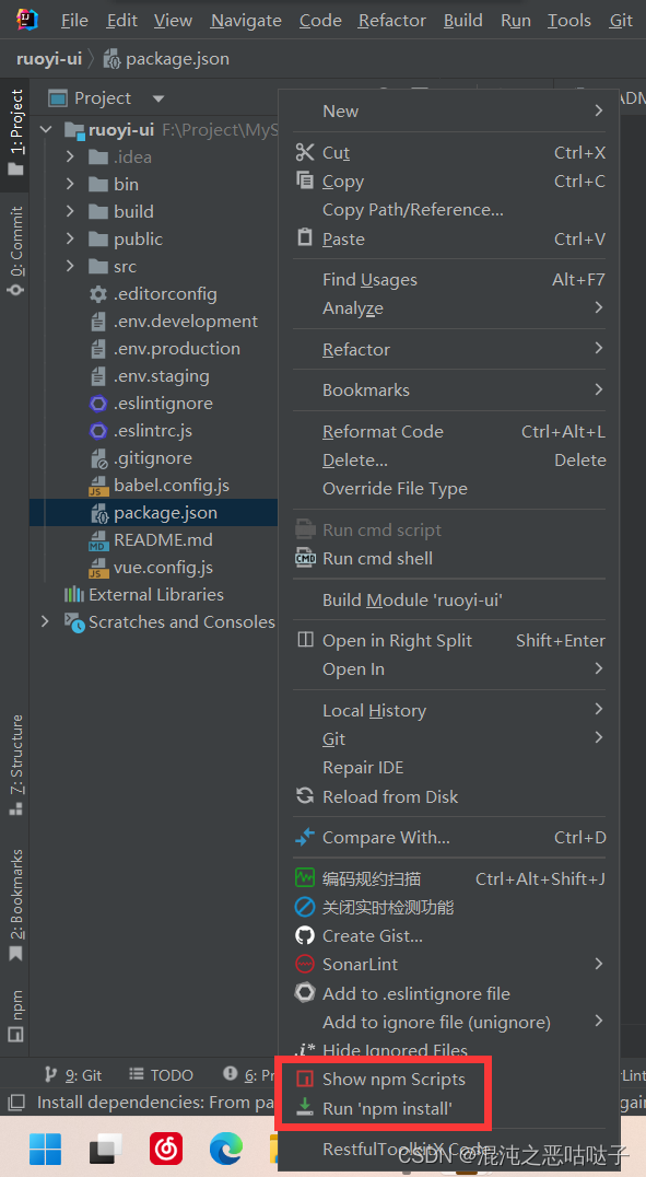 package.json右键选项