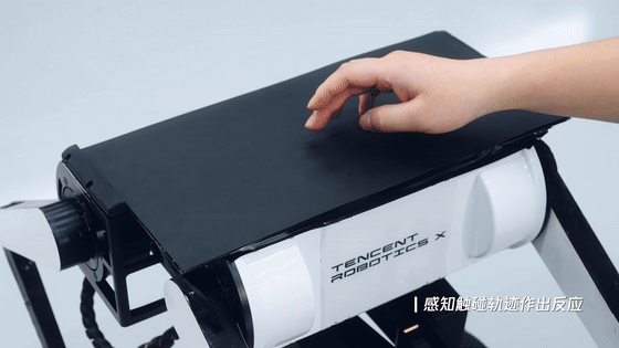 8b7ca43b1f98a3820dccf476eb158b32.gif