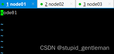 主机名node01