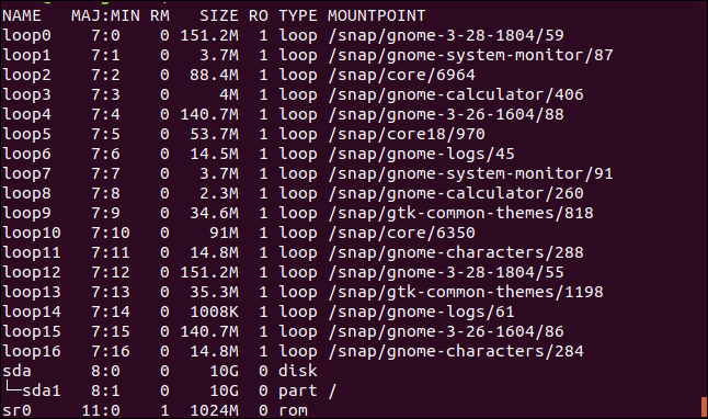 lsblk output in a terminal window