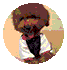 9df48fa19c9d1b00c7b9e5f05b1efc9b.gif