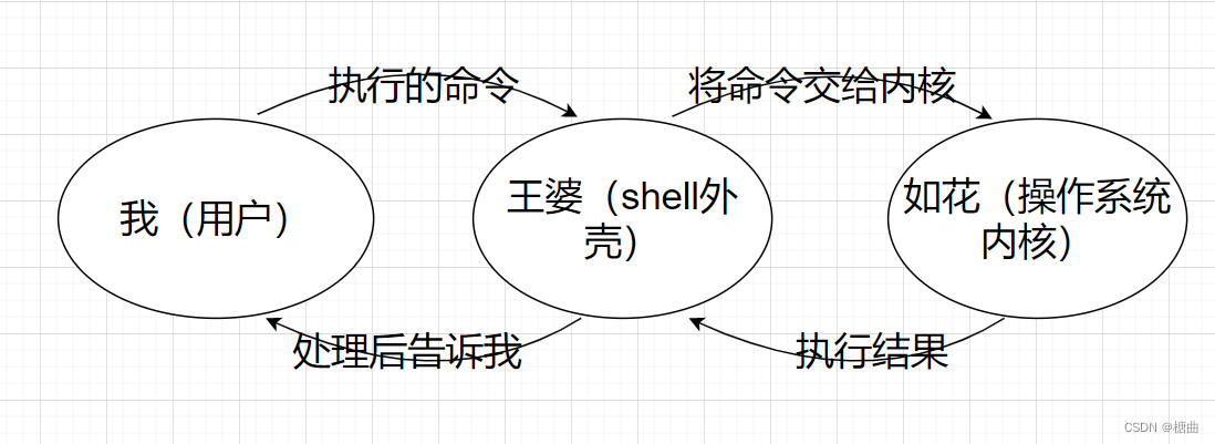 【Linux】shell及其运行原理_linux shell-CSDN博客