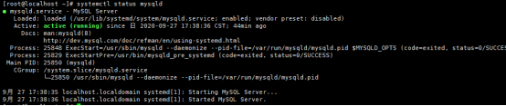 mysql服务