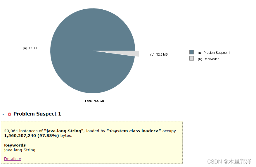memory analyse的问题分析
