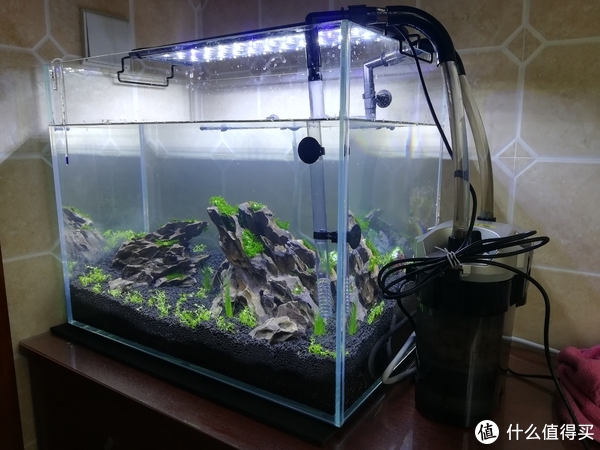 开缸种草篇