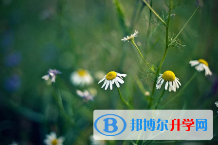 f8bee6ad3675d73bf56c2ccd69af9d9a.png