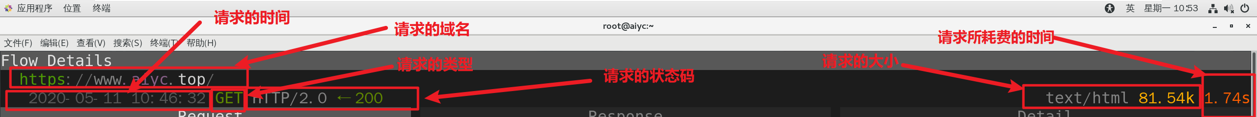图十一
