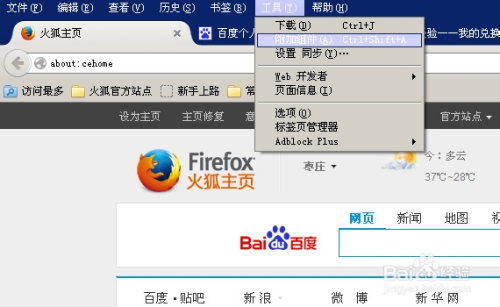 用firefox的插件下载网页中的视频