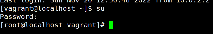 image-20221121135129124