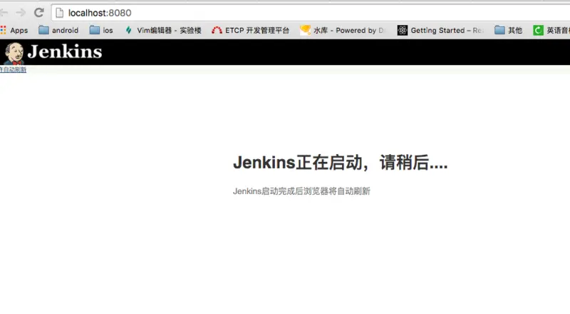 Jenkins 启动