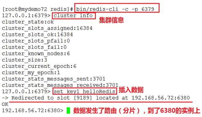 13638982-52d7c8d05cad0821.png