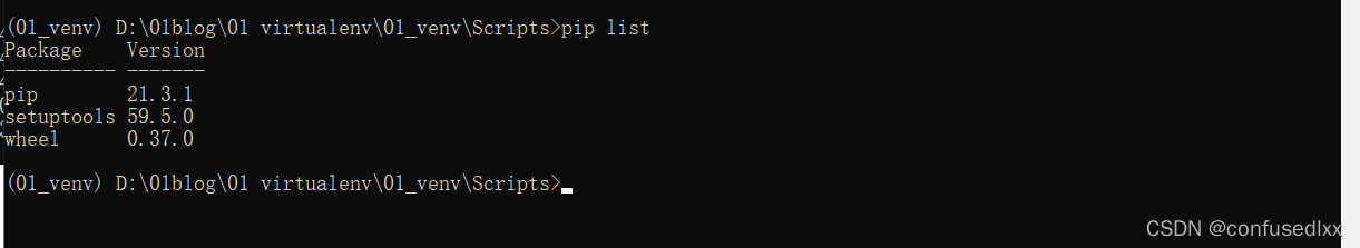 检测一下虚拟环境