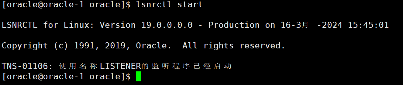 Oracle19c静默部署插图33 image-20240316154513698