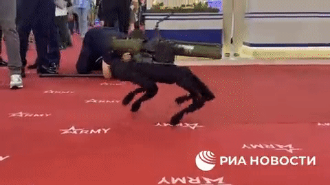 499c277c5023a45583b1b7f312ede515.gif