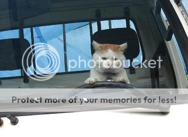 点击在新窗口中查看该图片