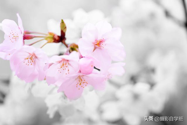 76b65ff44c1e9e71dbf7af828eddbd94.png