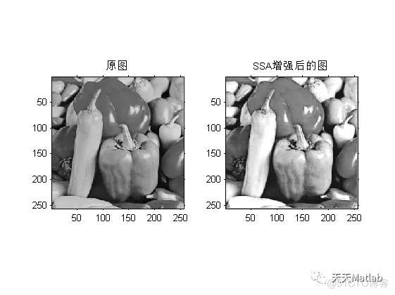 【图像增强】基于麻雀搜索算法与非完全beta函数的自适应图像增强算法Matlab代码_信号处理_03