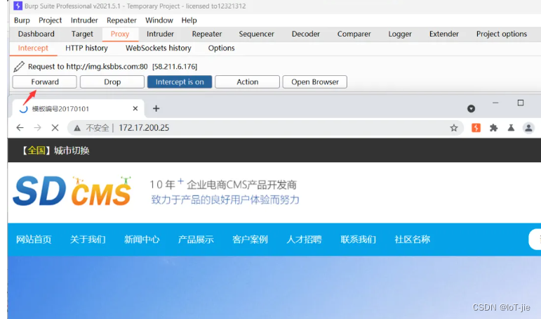 网络安全基础技术扫盲篇 — 名词解释之“数据包“