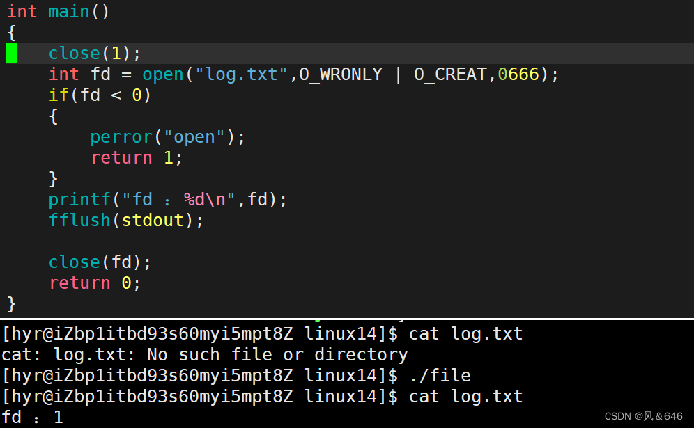 在这里插入图片描述