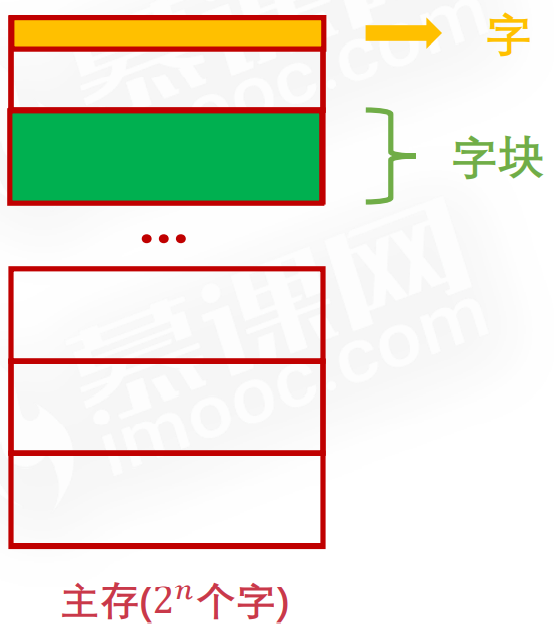 image-20220325210402666