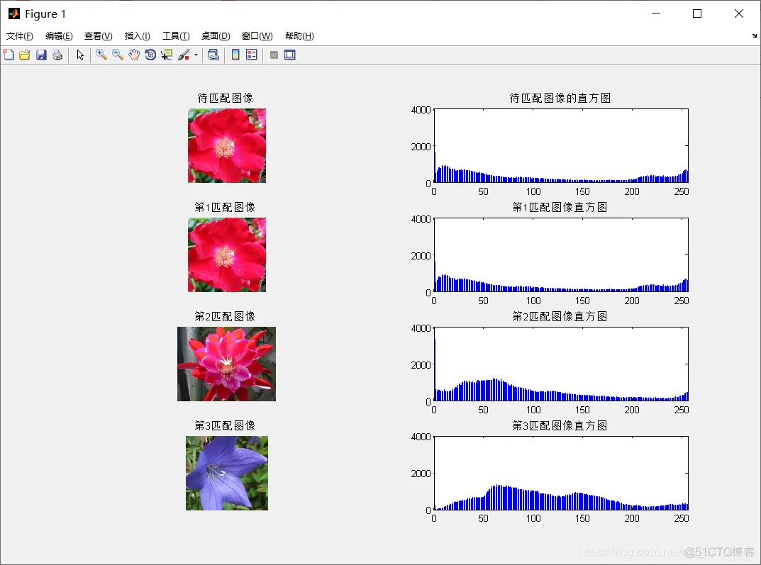 【图像识别】基于模板匹配算法实现花朵分类matlab源码_欧式距离