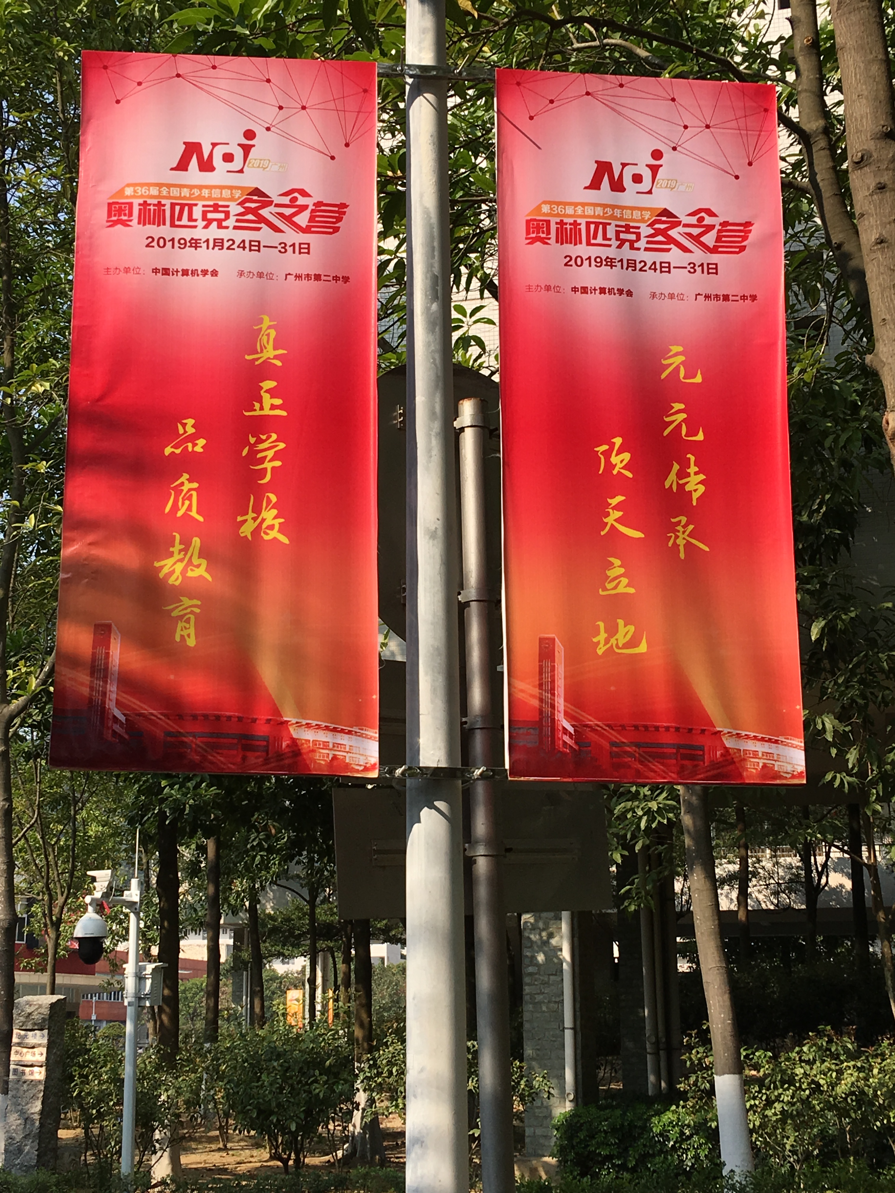 5c56cb2c3a163.jpg