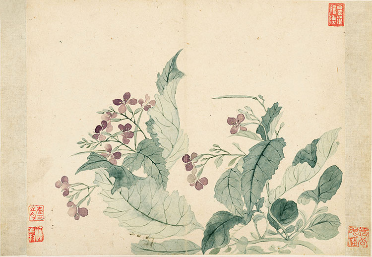 佚名 花卉圖 手绘花卉png图片免费下载-素材7SxkPaqag-新图网