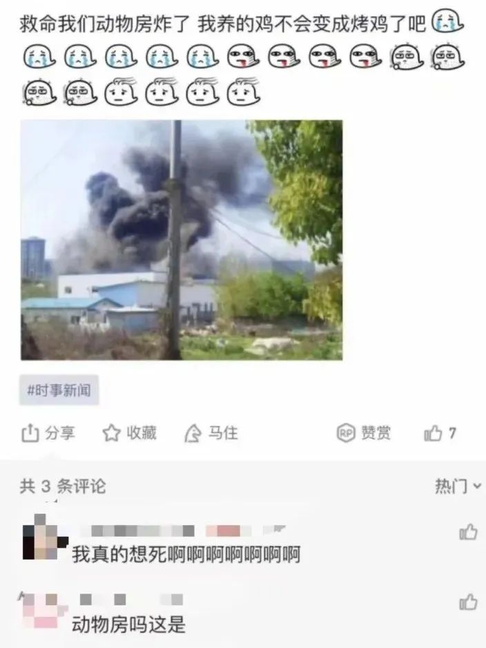 5b1135d31c4c3a6b4bc9be8db3e56088.jpeg