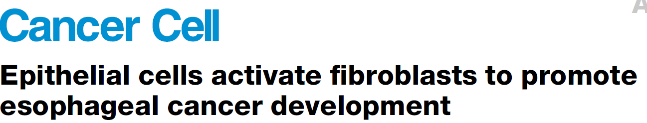 专栏五：食管癌Cancer Cell文章生信部分解析_epithelial cells activate fibroblasts to ...