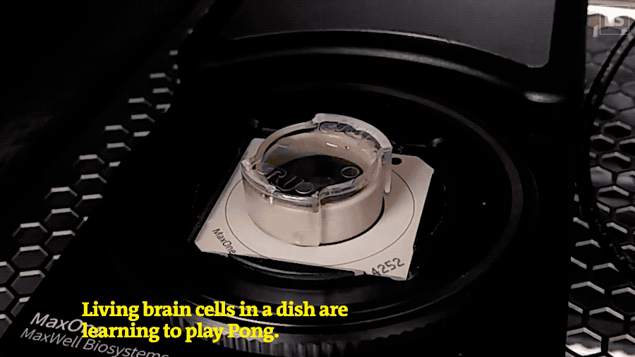 c8f8842bc5670e3c6f020c8debc03530.gif