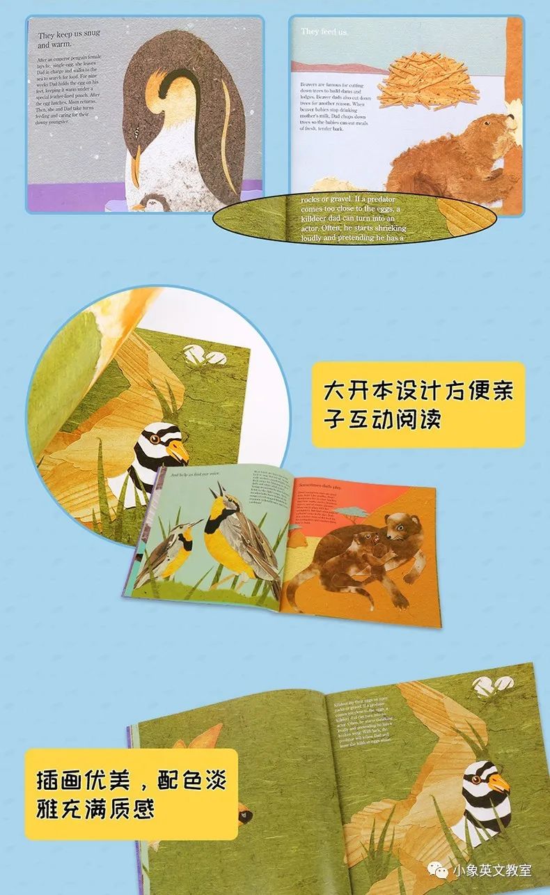 aff1688ea68da69007f089fff7e47a51.png