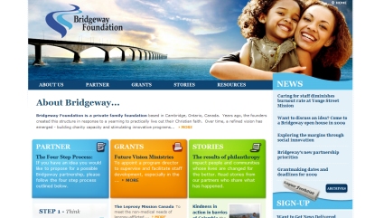 Non-Proft Websites