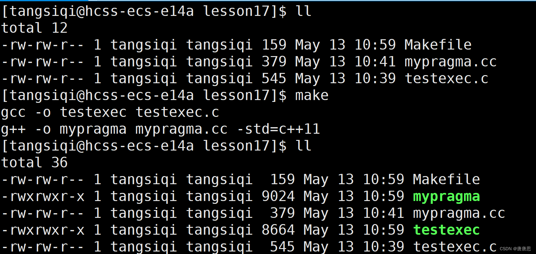 Testexec 【进程替换】自定义程序替换 | 替换函数execle&execvpe | execve-CSDN博客