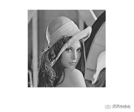 基于粒子群算法PSO优化阈值实现图像分割附Matlab代码_图像分割