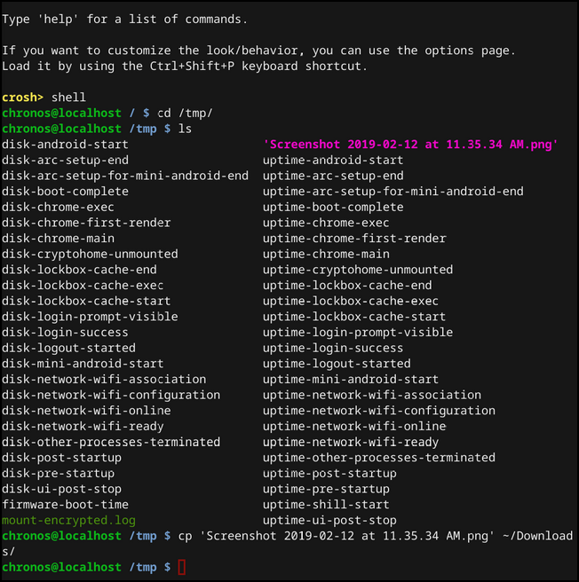 Chrome OS Shell after copying a file