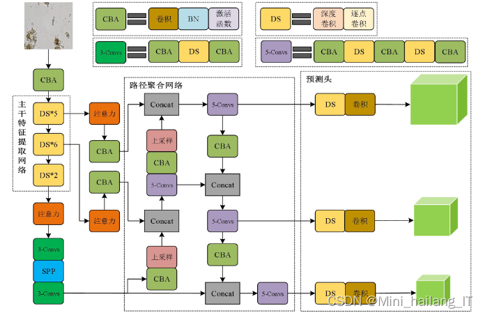 毕业设计：基于机器视觉的微生物图像分类