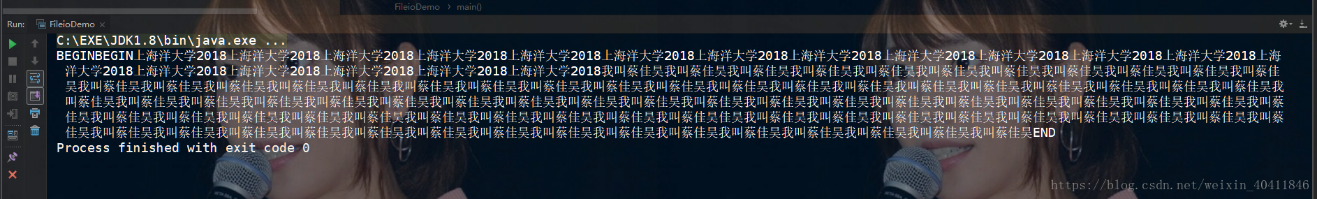 demo程序结果