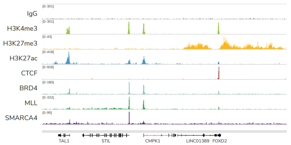 Epicypher热销产品——CUTANA™ ChIC/CUT&RUN Kit