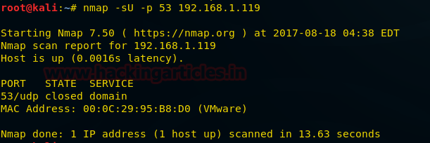 Wireshark如何捕获网络流量数据包