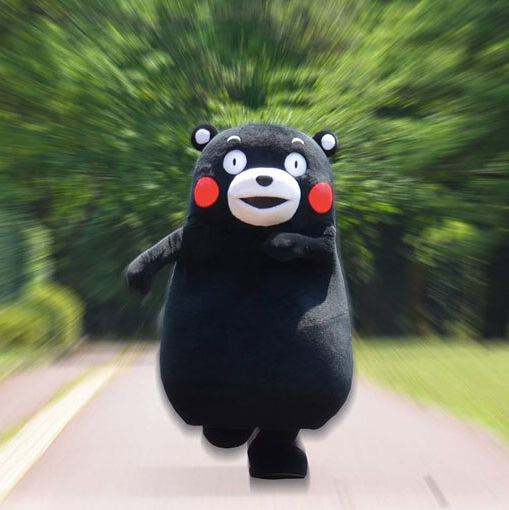 熊笨熊