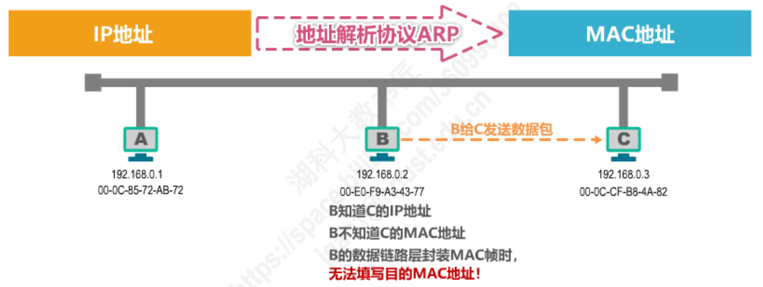 image-20230213231054986