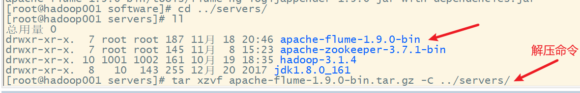 image-20221118204738309