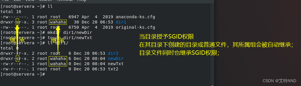 Linux操作系统（UMASK+SUID+SGID+STICK）_linux stick-CSDN博客