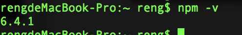 npm version