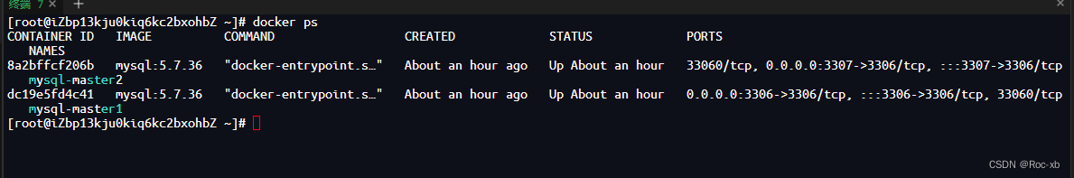 Docker搭建MySQL双主复制详细教程_容器_03