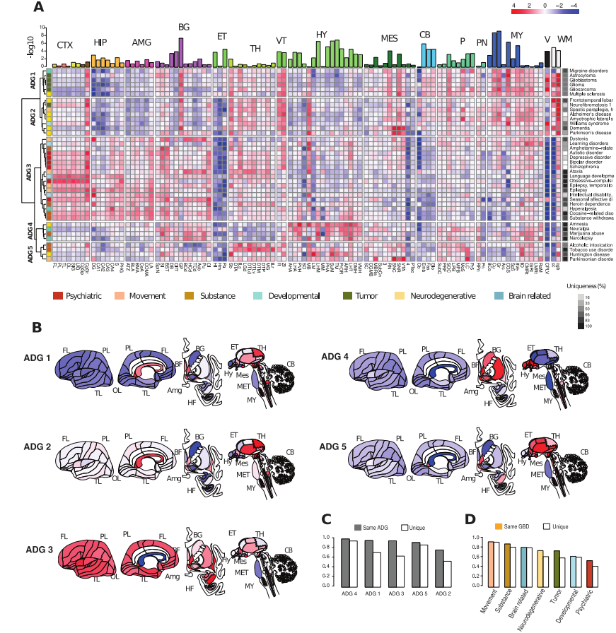图片 Plos Biology | 40种人类常见脑部疾病转录组学分析,提供基于分子的疾病分类和比较新策略_人工智能_02