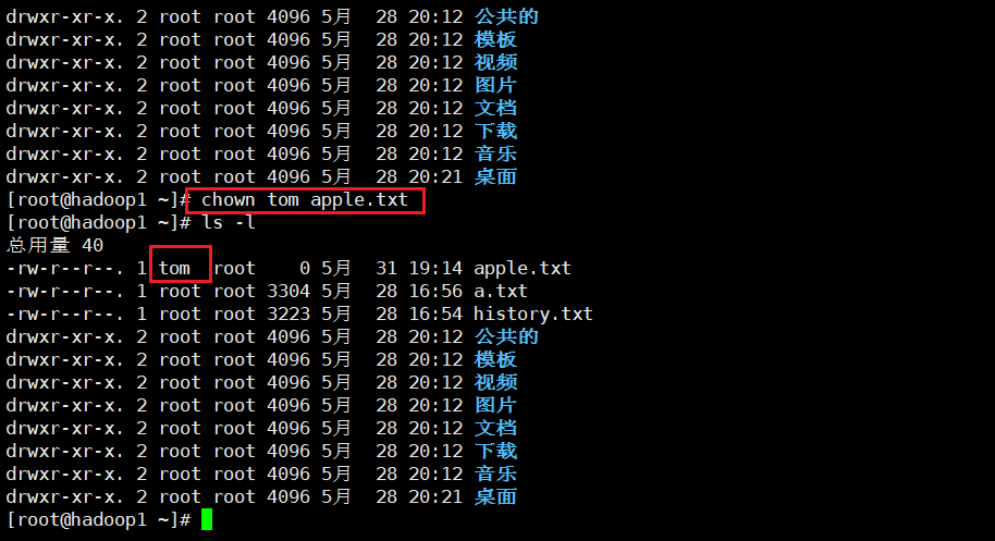 image-20210531191945732